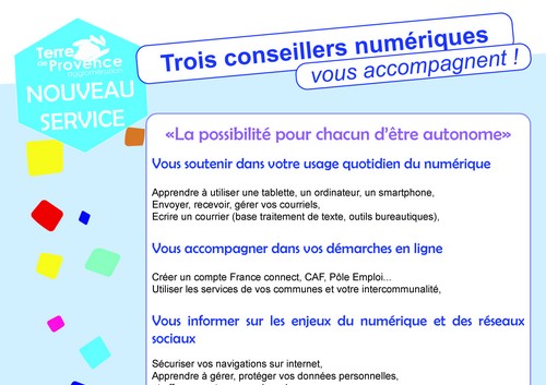 CONSEILLERS NUMÉRIQUES Copie