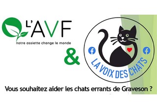 La Voix des Chats  - Repas végétal le VEN. 07 Novembre